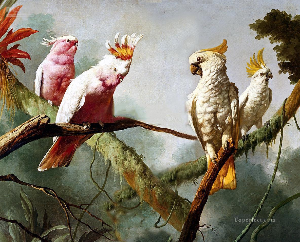 classical parrot on tree birds Oil Paintings